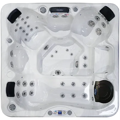 Avalon EC-849L hot tubs for sale in Gaithersburg