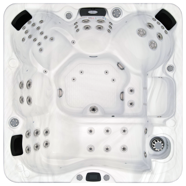Avalon-X EC-867LX hot tubs for sale in Gaithersburg